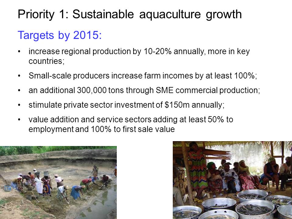 Priority 1: Sustainable aquaculture growth Targets by 2015: increase regional production by 10-20% annually, more in key countries; Small-scale producers increase farm incomes by at least 100%; an additional 300,000 tons through SME commercial production; stimulate private sector investment of $150m annually; value addition and service sectors adding at least 50% to employment and 100% to first sale value