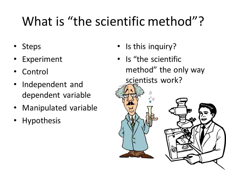 What is the scientific method .