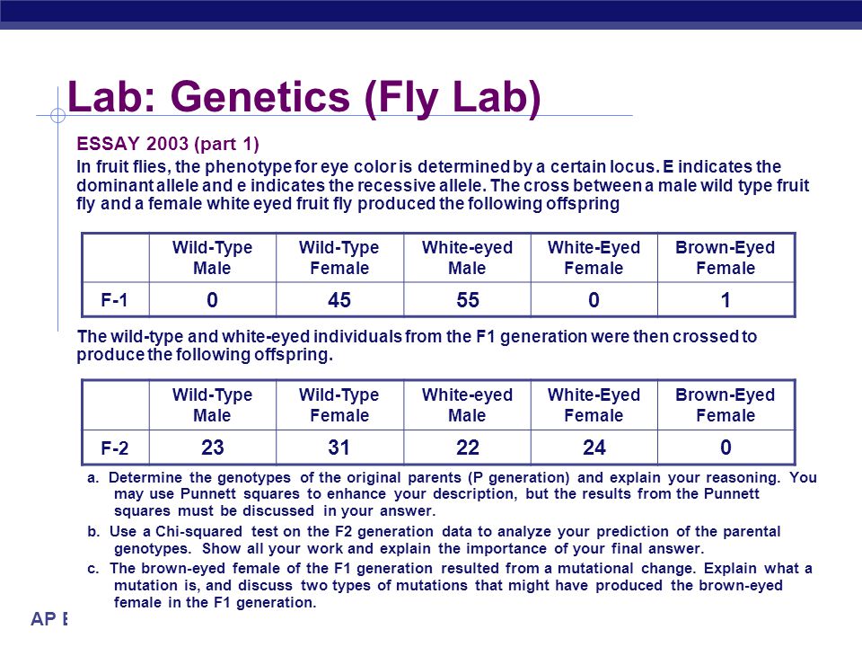 ap biology essay 2003 ap biology essay 2003