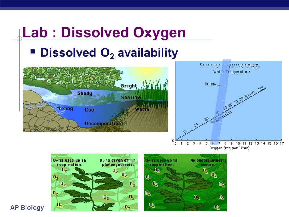 ap biology essay 2003 ap biology essay 2003