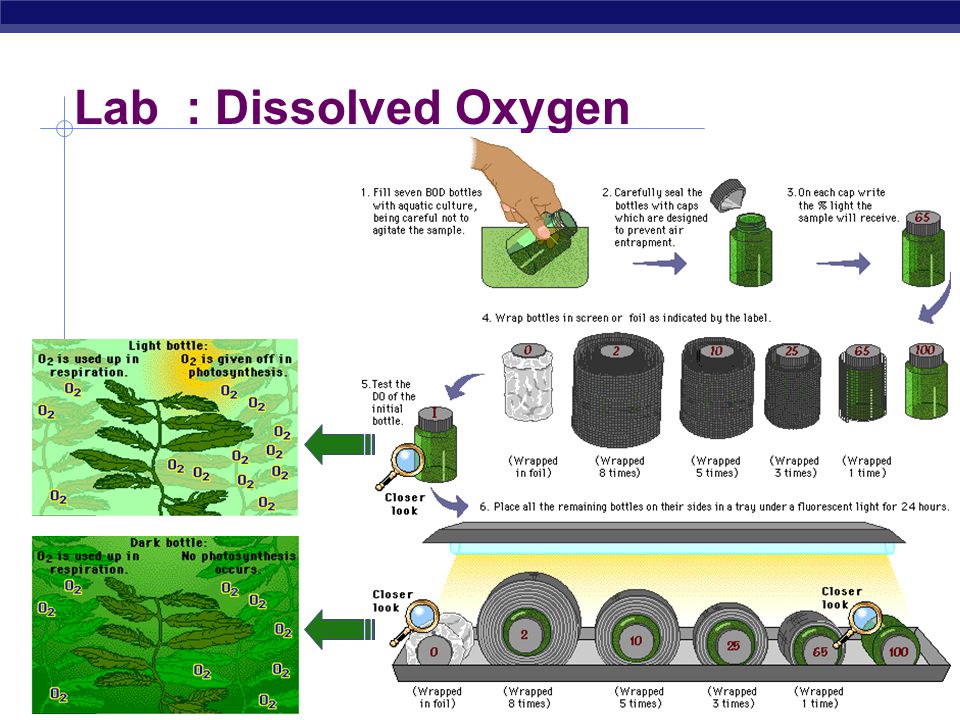 dissolved oxyen essay dissolved oxyen essay