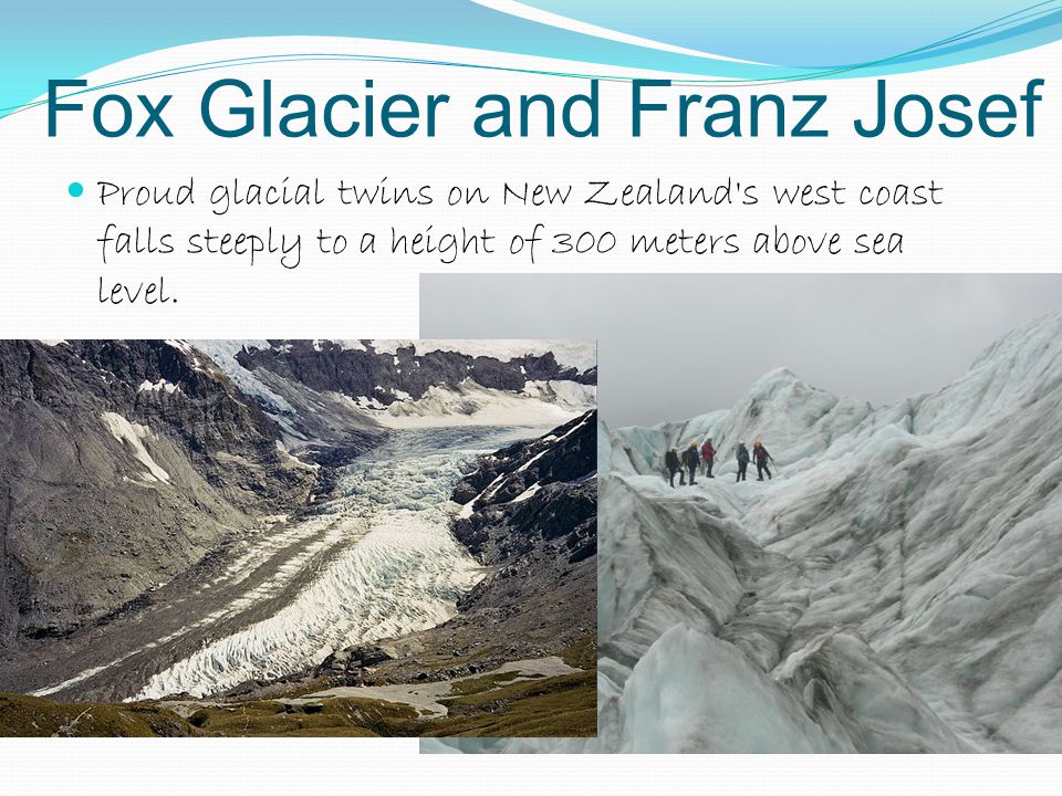 Fox Glacier and Franz Josef Proud glacial twins on New Zealand s west coast falls steeply to a height of 300 meters above sea level.