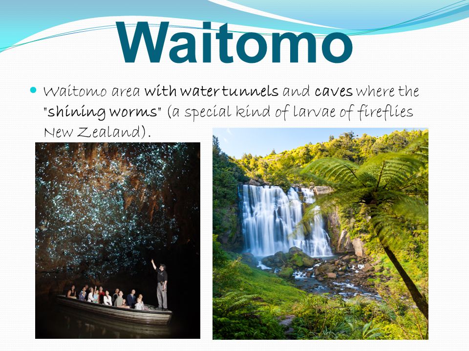 Waitomo Waitomo area with water tunnels and caves where the shining worms (a special kind of larvae of fireflies New Zealand).