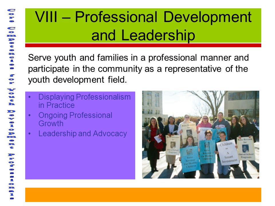 VIII – Professional Development and Leadership Displaying Professionalism in Practice Ongoing Professional Growth Leadership and Advocacy Serve youth and families in a professional manner and participate in the community as a representative of the youth development field.