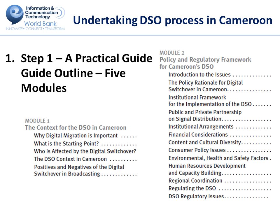 Undertaking DSO process in Cameroon 1.Step 1 – A Practical Guide Guide Outline – Five Modules 20