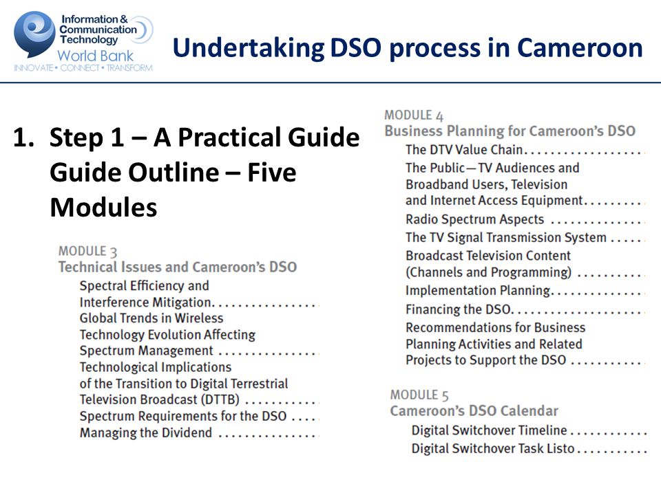 Undertaking DSO process in Cameroon 1.Step 1 – A Practical Guide Guide Outline – Five Modules 21