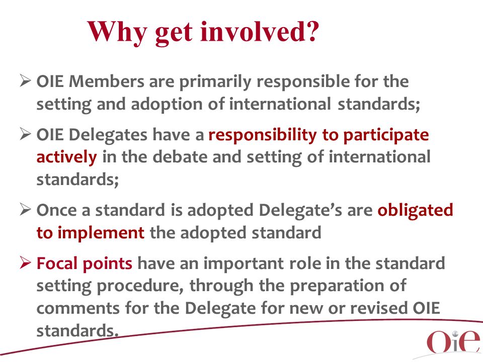 OIE Members are primarily responsible for the setting and adoption of international standards;  OIE Delegates have a responsibility to participate actively in the debate and setting of international standards;  Once a standard is adopted Delegate’s are obligated to implement the adopted standard  Focal points have an important role in the standard setting procedure, through the preparation of comments for the Delegate for new or revised OIE standards.