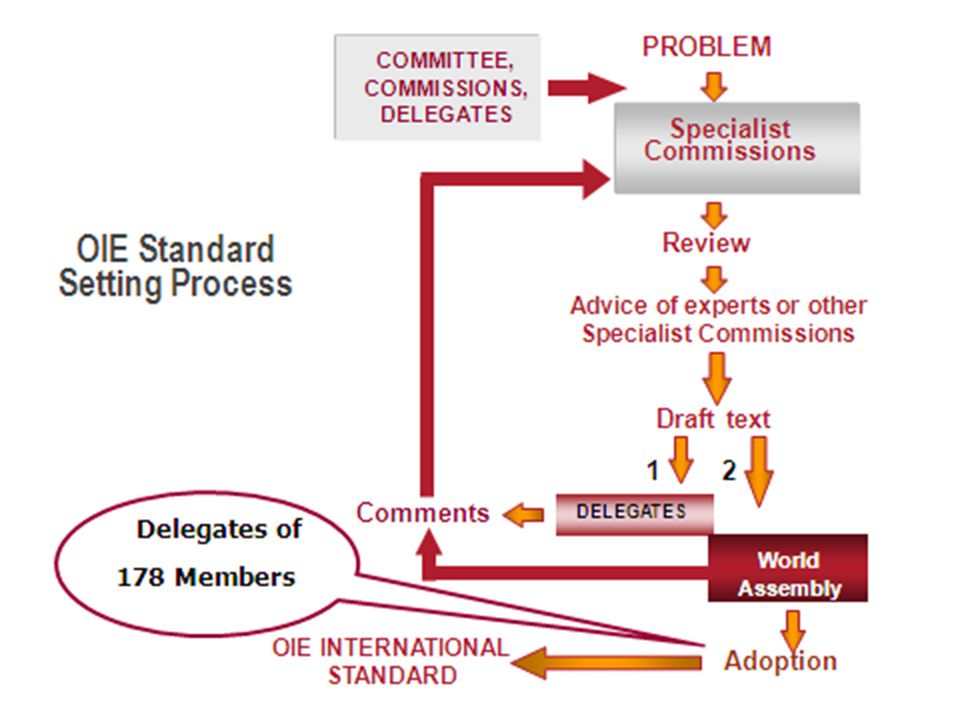 OIE Standard Setting Process PROBLEM Specialist Commissions Review Advice of experts or other Specialist Commissions Draft text DELEGATES COMMITTEE, COMMISSIONS, DELEGATES 12 Comments World Assembly Adoption OIE INTERNATIONAL STANDARD Delegates of 178 Members