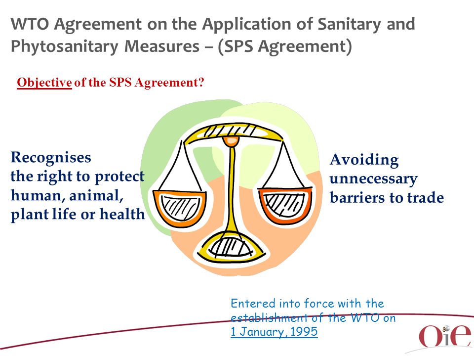 3 Recognises the right to protect human, animal, plant life or health Avoiding unnecessary barriers to trade Entered into force with the establishment of the WTO on 1 January, 1995 WTO Agreement on the Application of Sanitary and Phytosanitary Measures – (SPS Agreement) Objective of the SPS Agreement