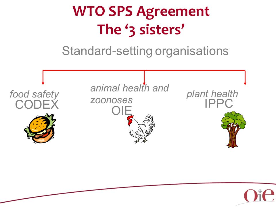 WTO SPS Agreement The ‘3 sisters’ Standard-setting organisations food safety CODEX plant health IPPC animal health and zoonoses OIE