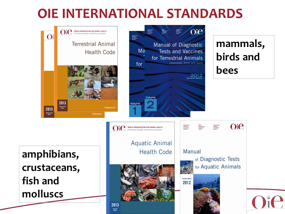 OIE INTERNATIONAL STANDARDS mammals, birds and bees amphibians, crustaceans, fish and molluscs
