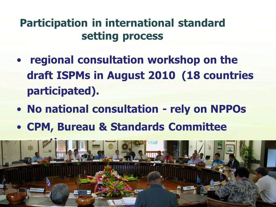Participation in international standard setting process regional consultation workshop on the draft ISPMs in August 2010 (18 countries participated).