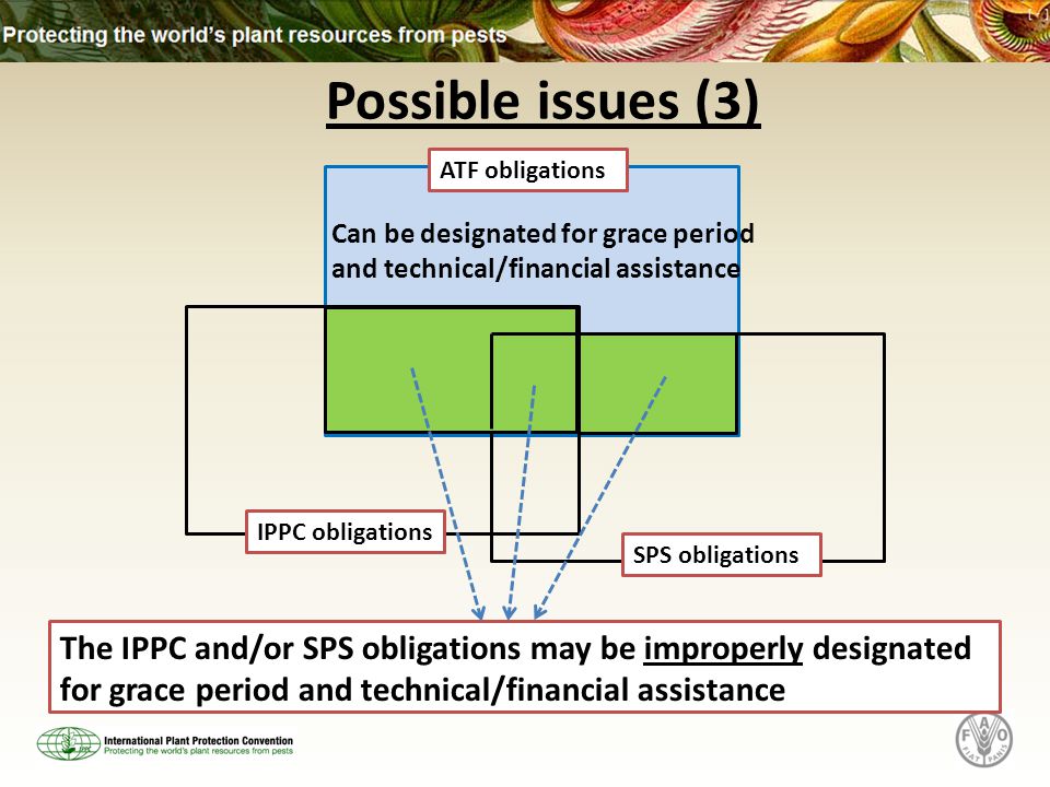 The IPPC and/or SPS obligations may be improperly designated for grace period and technical/financial assistance Possible issues (3) ATF obligations SPS obligations Can be designated for grace period and technical/financial assistance IPPC obligations