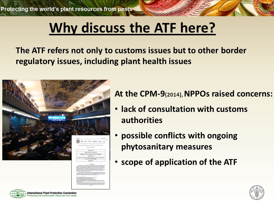 Why discuss the ATF here.