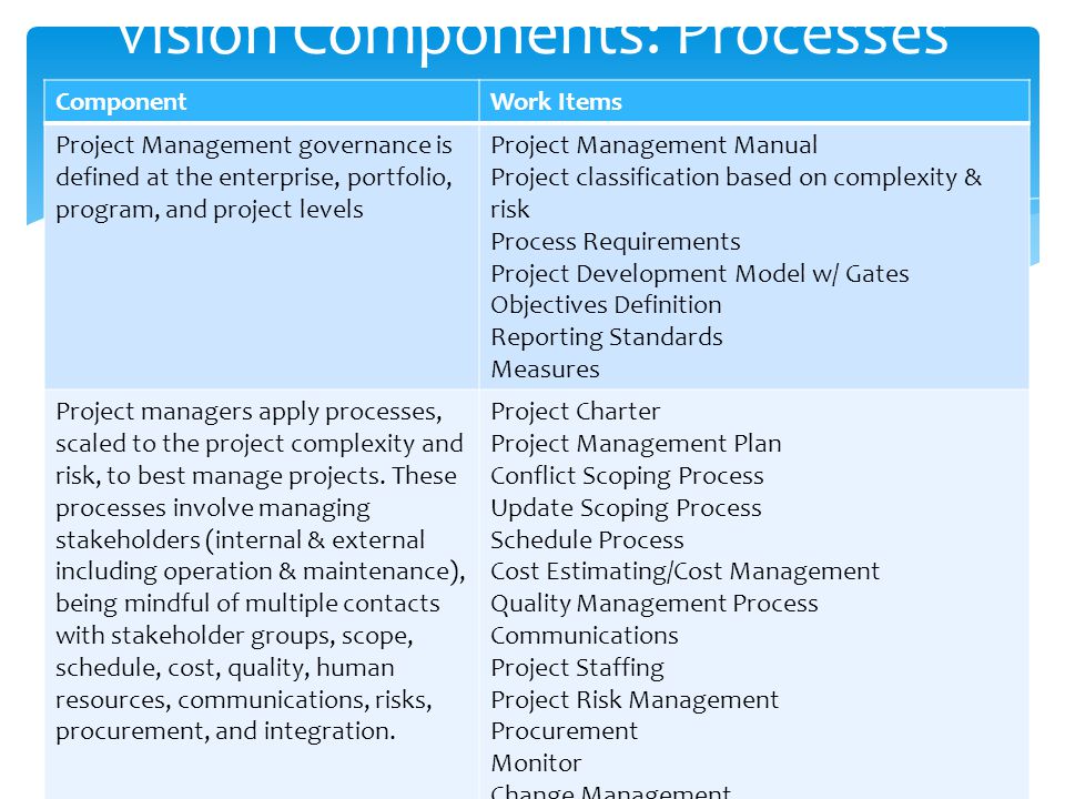Vision Components: Processes ComponentWork Items Project Management governance is defined at the enterprise, portfolio, program, and project levels Project Management Manual Project classification based on complexity & risk Process Requirements Project Development Model w/ Gates Objectives Definition Reporting Standards Measures Project managers apply processes, scaled to the project complexity and risk, to best manage projects.