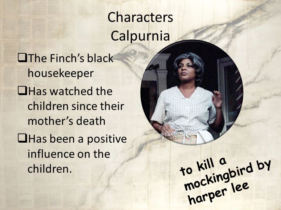 Characters Jem Finch  Scout’s older brother  Looks up to his father Atticus  Usually looks out for Scout  Typical older brother at times  Smart  Compassionate  Matures as the story progresses to kill a mockingbird by harper lee