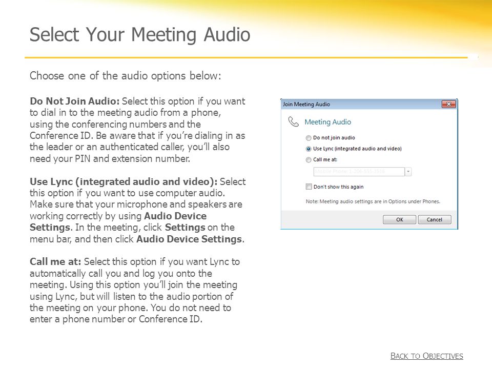 Select Your Meeting Audio Choose one of the audio options below: Do Not Join Audio: Select this option if you want to dial in to the meeting audio from a phone, using the conferencing numbers and the Conference ID.