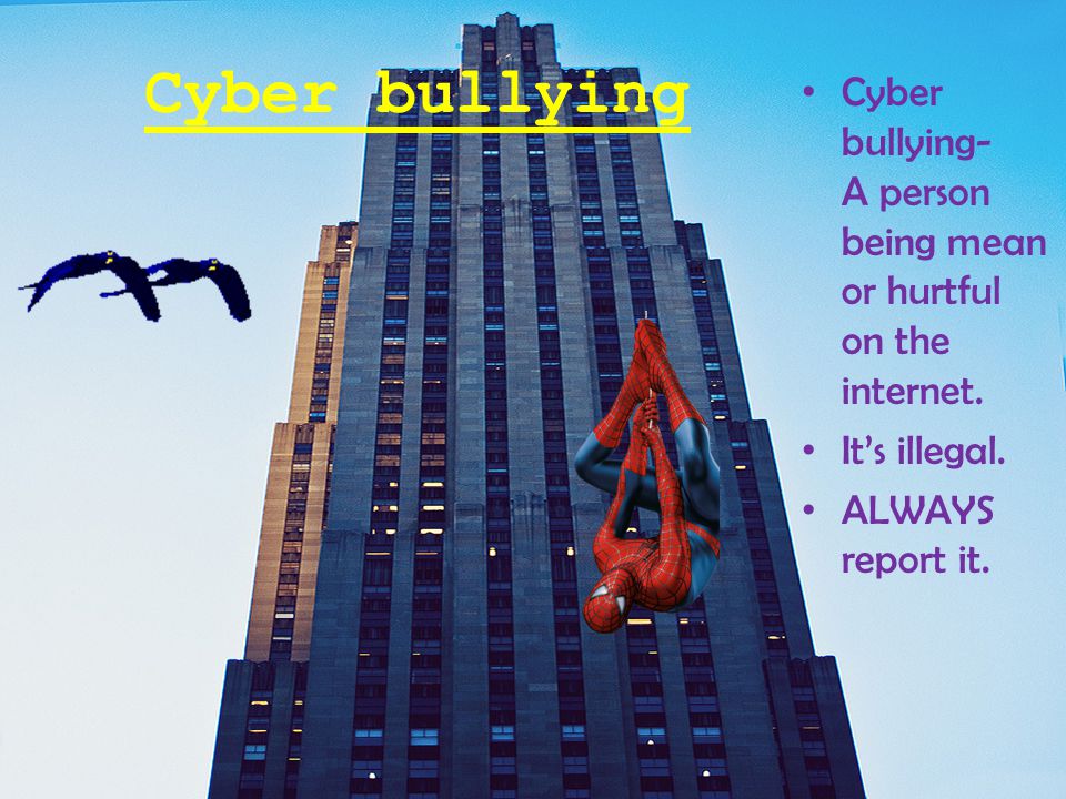 Cyber bullying Cyber bullying- A person being mean or hurtful on the internet.