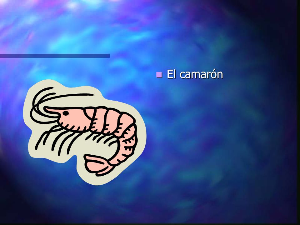 El camarón