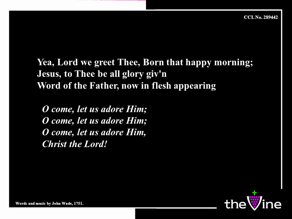 Yea, Lord we greet Thee, Born that happy morning; Jesus, to Thee be all glory giv n Word of the Father, now in flesh appearing O come, let us adore Him; O come, let us adore Him, Christ the Lord.