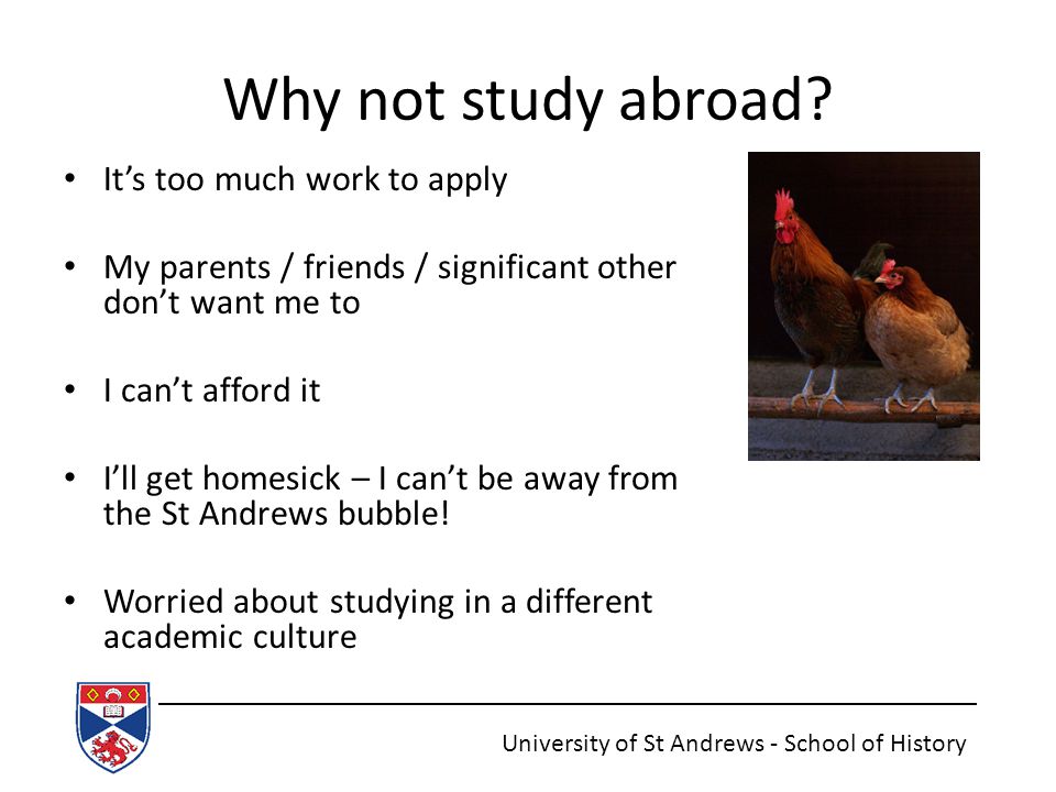 Why not study abroad.