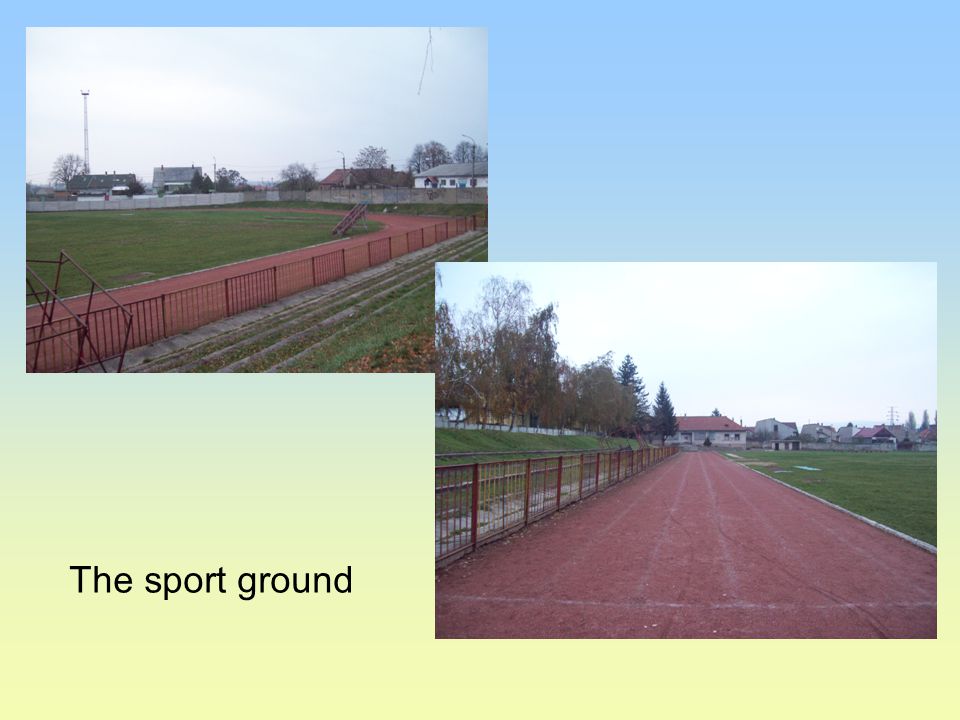 The sport ground
