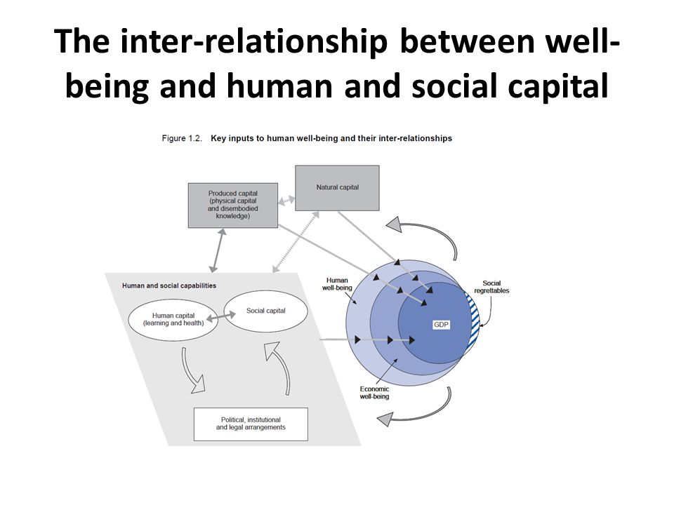 The inter-relationship between well- being and human and social capital