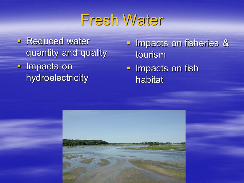 Fresh Water  Reduced water quantity and quality  Impacts on hydroelectricity  Impacts on fisheries & tourism  Impacts on fish habitat