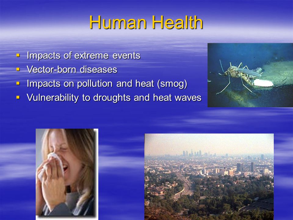 Human Health  Impacts of extreme events  Vector-born diseases  Impacts on pollution and heat (smog)  Vulnerability to droughts and heat waves