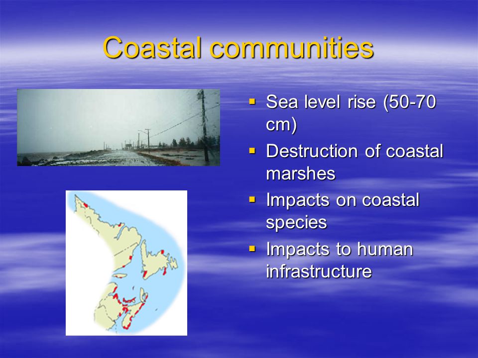 Coastal communities  Sea level rise (50-70 cm)  Destruction of coastal marshes  Impacts on coastal species  Impacts to human infrastructure