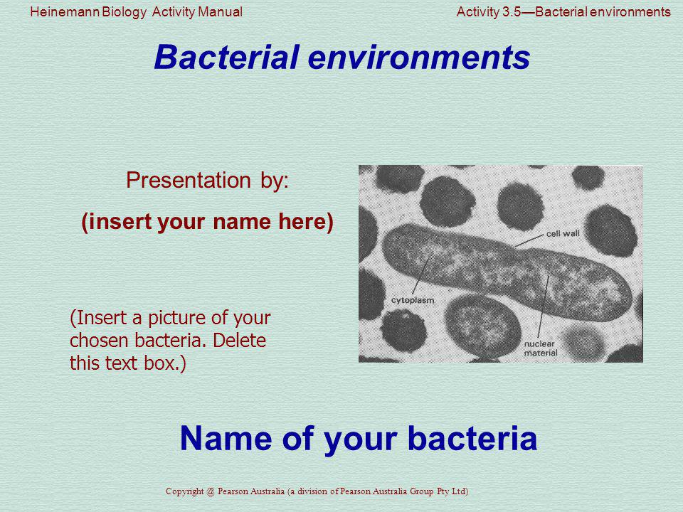 Heinemann Biology Activity Manual Activity 3.5—Bacterial environments Pearson Australia (a division of Pearson Australia Group Pty Ltd) Bacterial environments Presentation by: (insert your name here) (Insert a picture of your chosen bacteria.