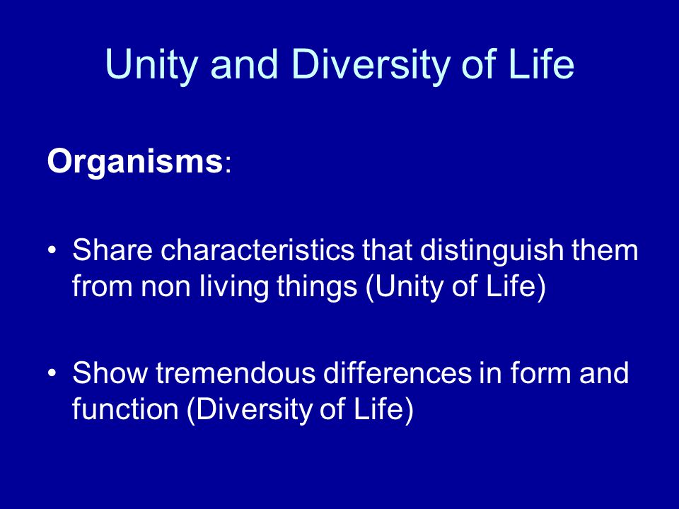 Unity And Diversity Essay