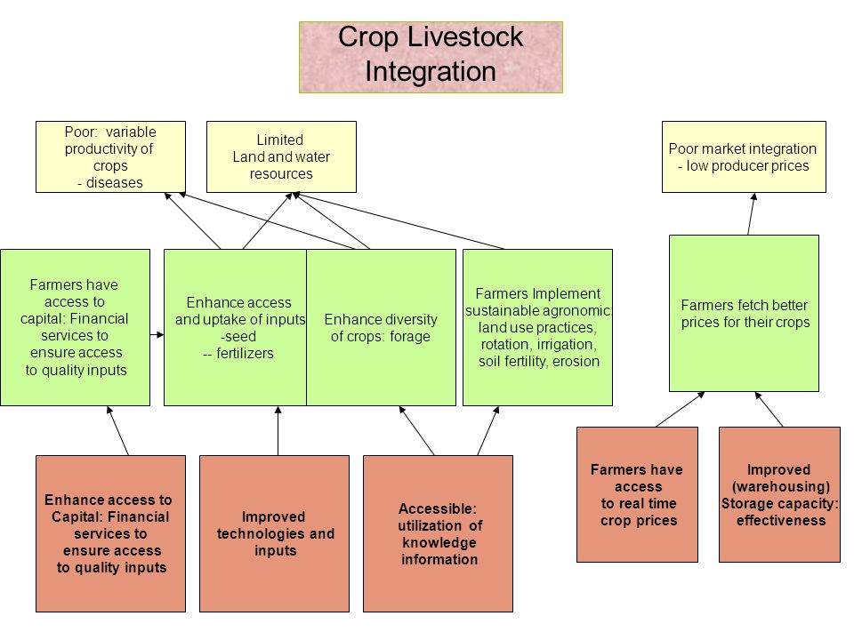 Crop Livestock Integration Poor: variable productivity of crops - diseases Limited Land and water resources Poor market integration - low producer prices Farmers have access to capital: Financial services to ensure access to quality inputs Enhance access and uptake of inputs -seed -- fertilizers Enhance diversity of crops: forage Farmers Implement sustainable agronomic: land use practices, rotation, irrigation, soil fertility, erosion Farmers fetch better prices for their crops Enhance access to Capital: Financial services to ensure access to quality inputs Improved technologies and inputs Accessible: utilization of knowledge information Farmers have access to real time crop prices Improved (warehousing) Storage capacity: effectiveness