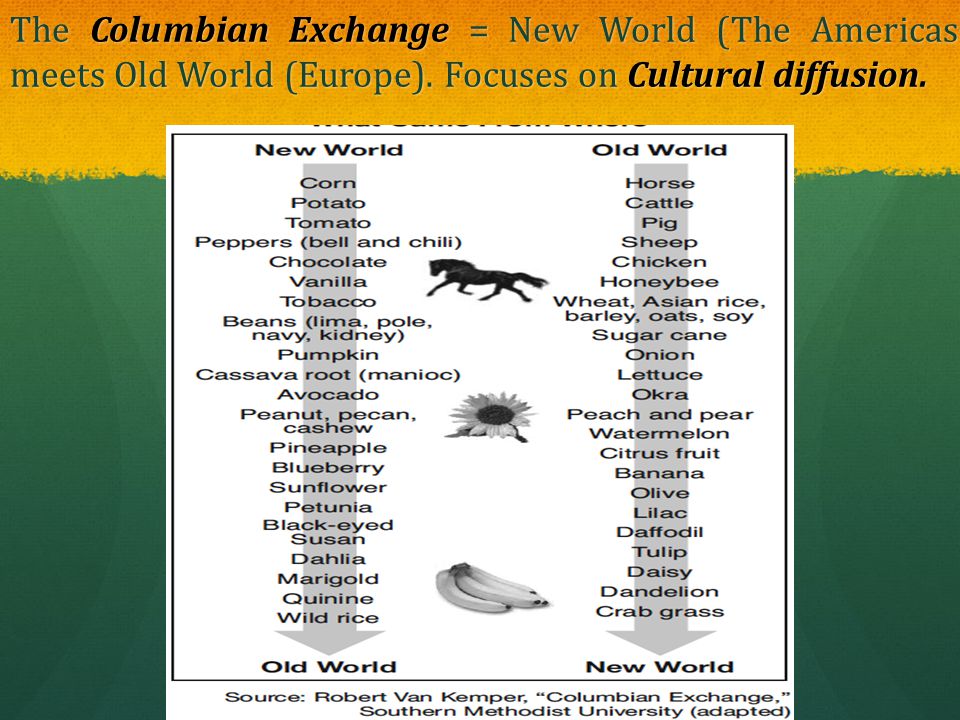 The Columbian Exchange Essay