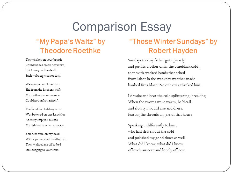 Robert Hayden Those Winter Sundays Poem