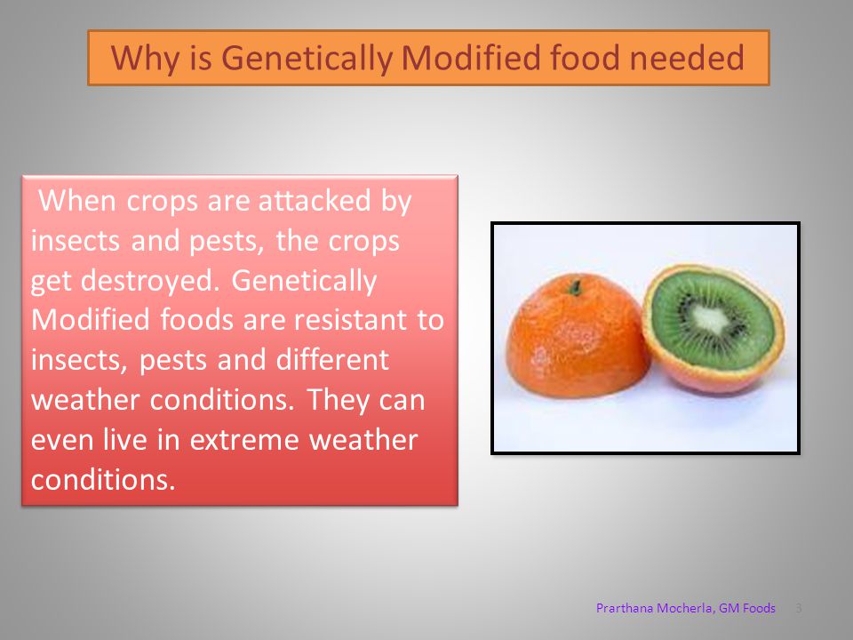 Genetically Modified foods – A Definition Genetically Modified foods (GM foods) are produced from Genetically Modified Organisms (GMOs).