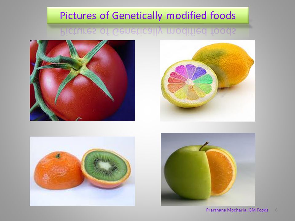 Public opinion on GM foods A large portion of people think that GM foods are good for the future and they should be continued, whereas a lot of people reject GM foods, saying it has bad health impacts.