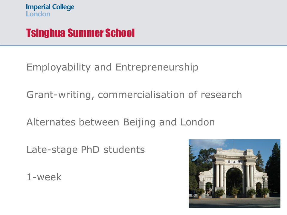 Tsinghua Summer School Employability and Entrepreneurship Grant-writing, commercialisation of research Alternates between Beijing and London Late-stage PhD students 1-week