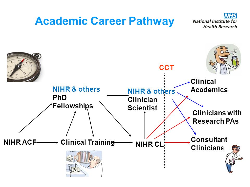 NIHR ACFClinical Training NIHR & others PhD Fellowships NIHR CL NIHR & others Clinician Scientist CCT Clinical Academics Clinicians with Research PAs Consultant Clinicians Academic Career Pathway