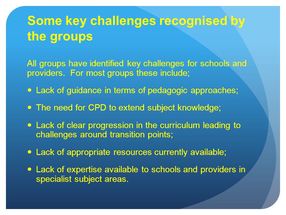 Some key challenges recognised by the groups All groups have identified key challenges for schools and providers.