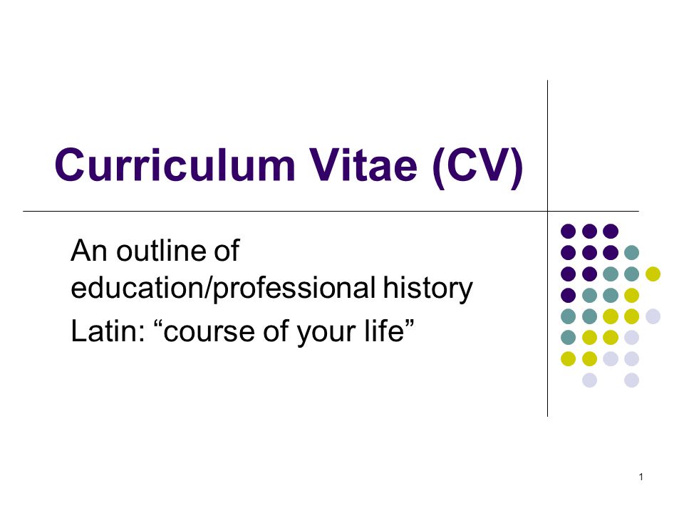 curriculum vitae outlines