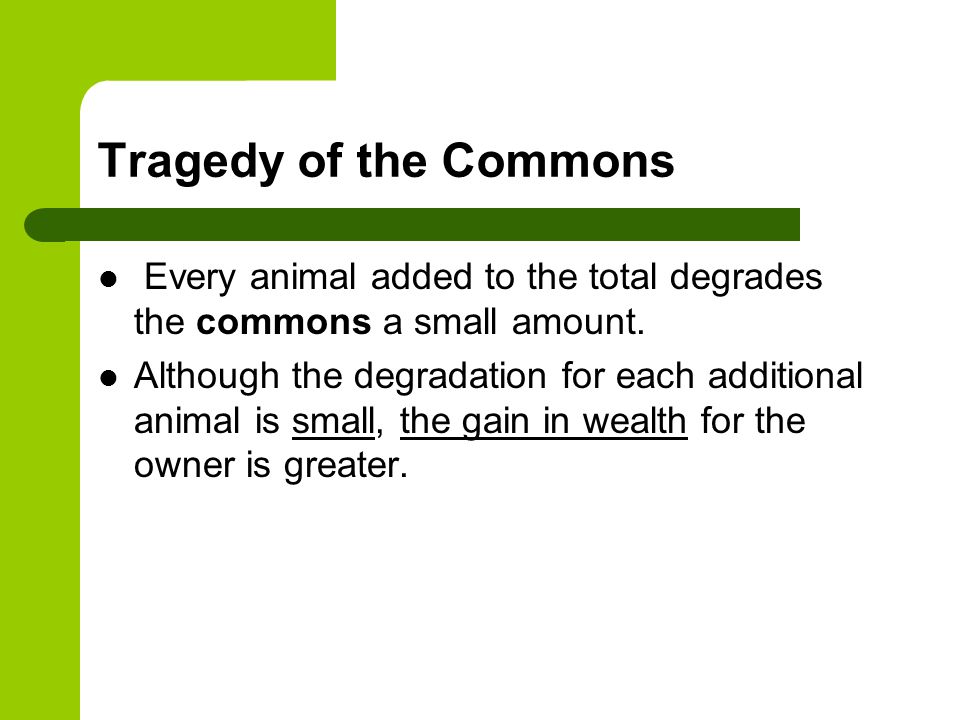 essay on tragedy of the commons I need someone to write my dissertation uk tragedy of the commons essay writing custom nagios plugins earthquake research paper. essay on tragedy of the commons I need someone to write my dissertation uk tragedy of the commons essay writing custom nagios plugins earthquake research paper.