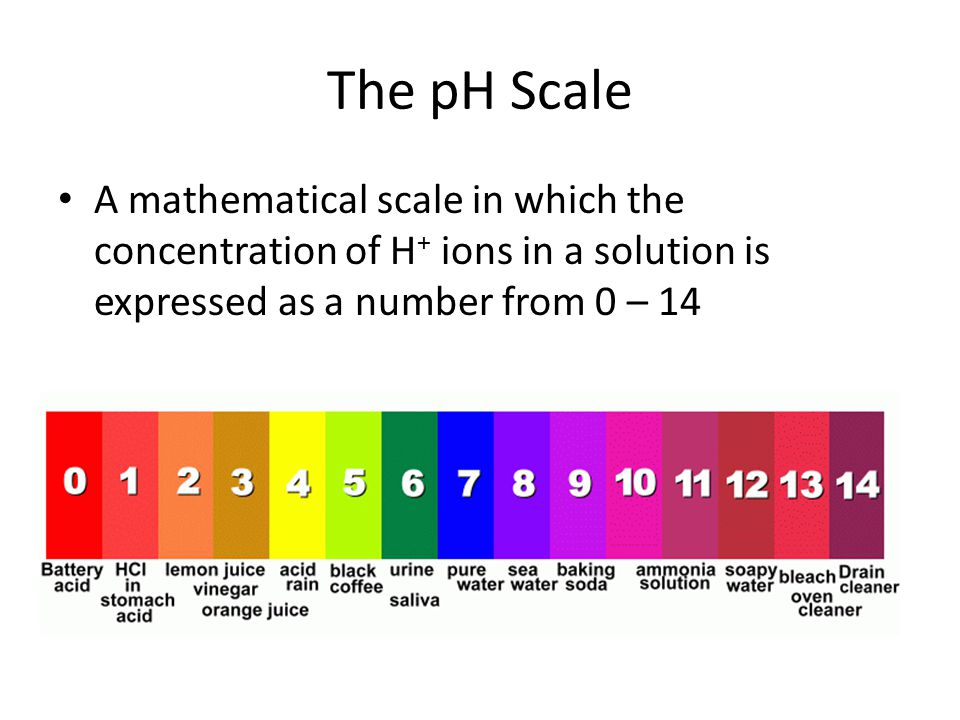 The pH Scale A mathematical scale in which the concentration of H + ions in a solution is expressed as a number from 0 – 14