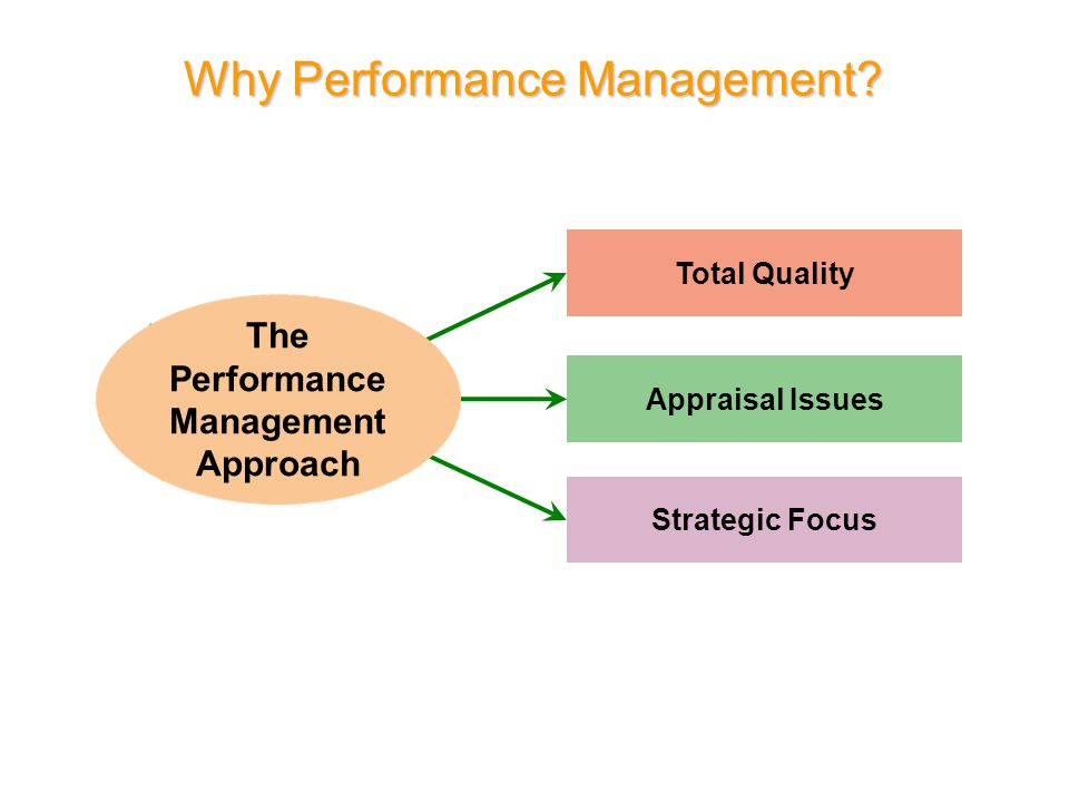 performance management essay