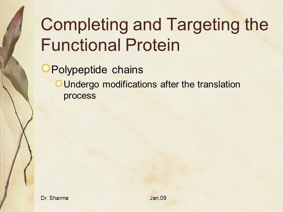 Single Cell Protein Ppt Free