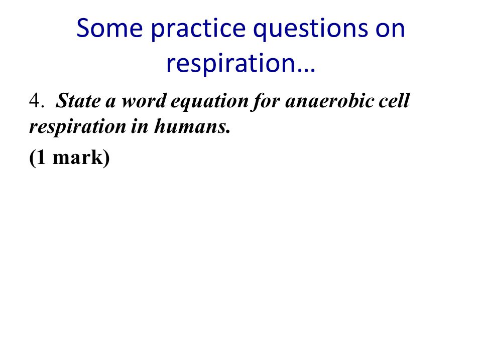 What Is The Equation For Aerobic Cellular Respiration Talkchannels Related Keywords Suggestions For Respiration Equation In Word Form