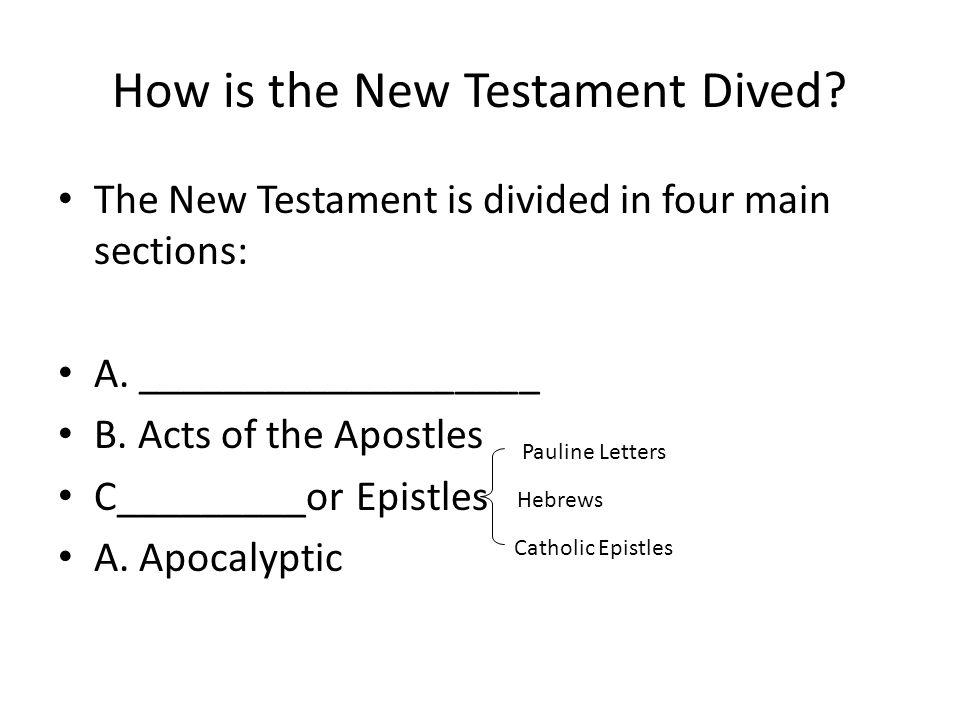 How is the New Testament Dived. The New Testament is divided in four main sections: A.