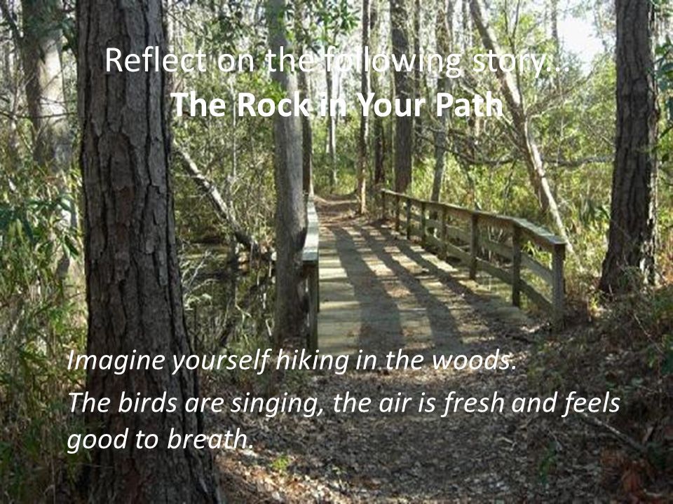 Reflect on the following story... The Rock in Your Path Imagine yourself hiking in the woods.