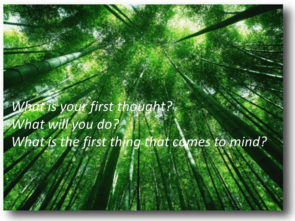 What is your first thought What will you do What is the first thing that comes to mind