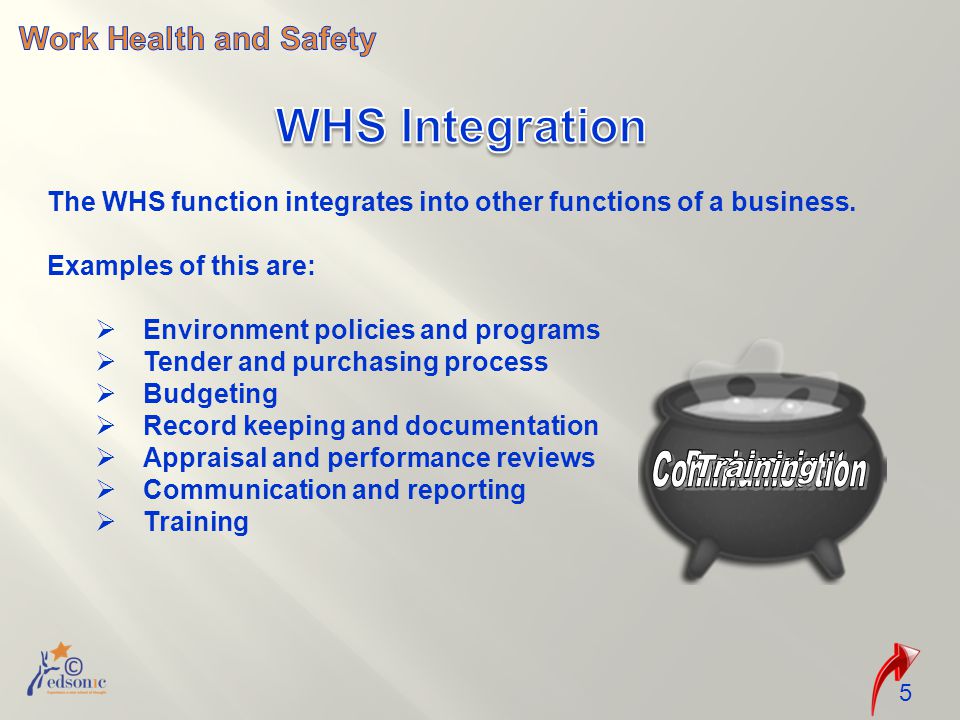The WHS function integrates into other functions of a business.